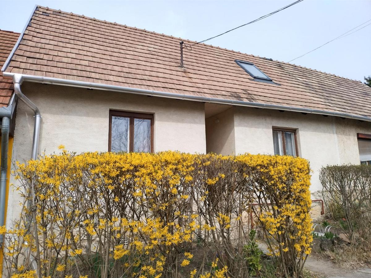 Eva Vendeghaz Villa Tata Exterior foto