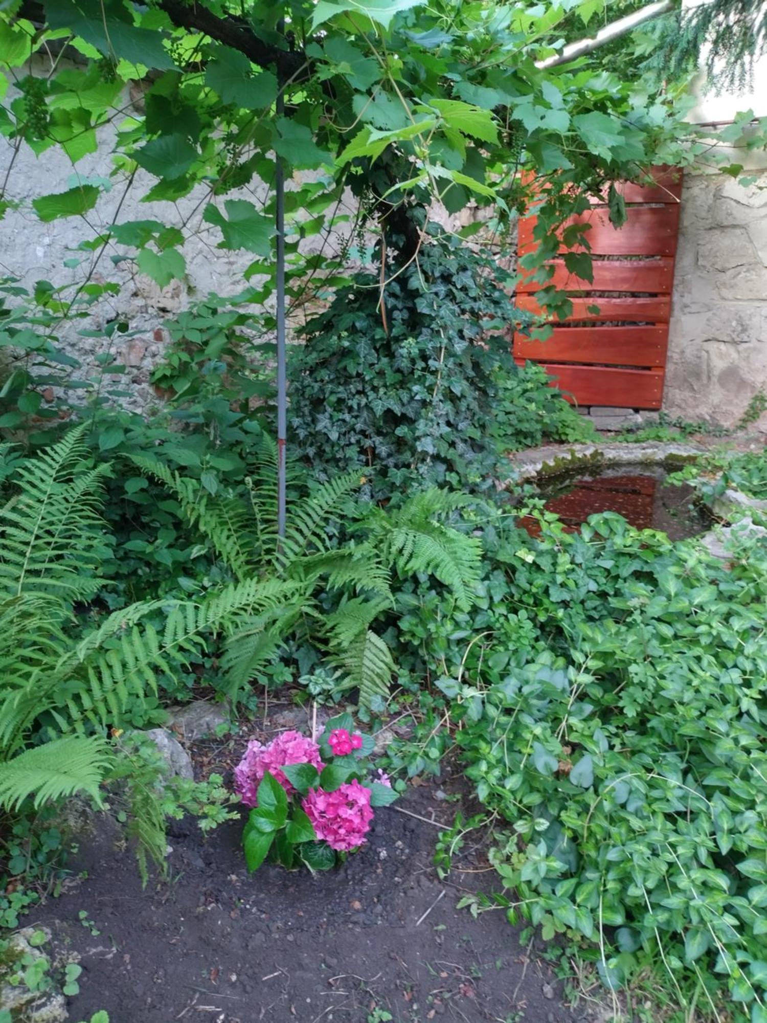 Eva Vendeghaz Villa Tata Exterior foto